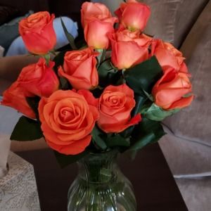 Meet your Posher, Diana